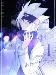 狼导航入口
